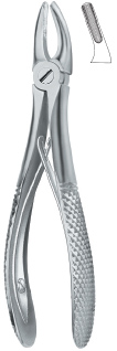 Tooth Extracting Forceps|(eng)