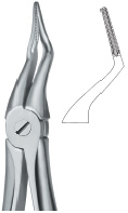 Tooth Ext Forceps